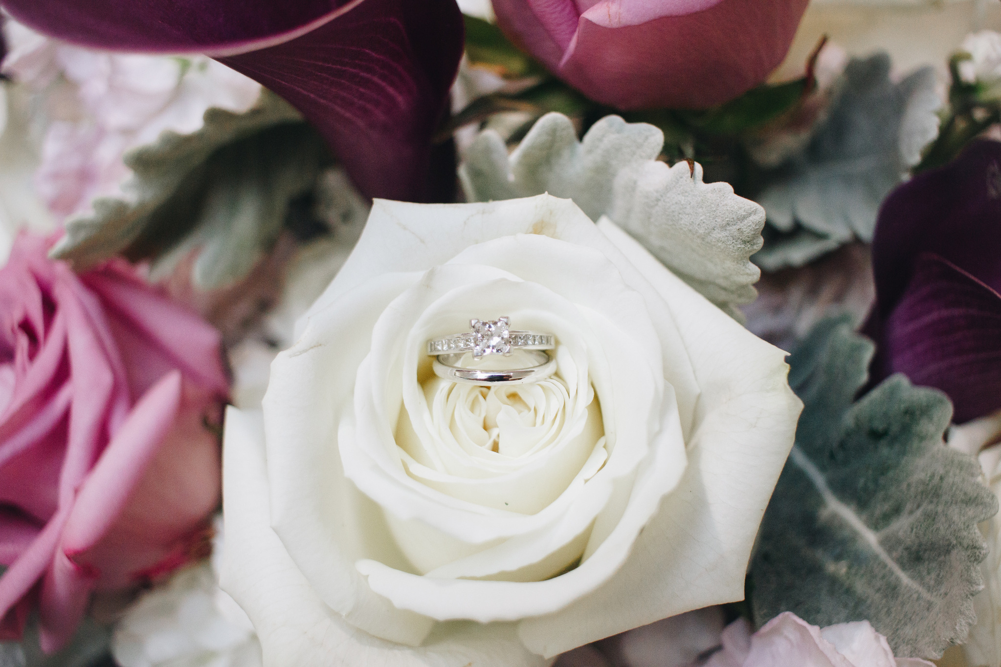 white rose ring shot - washington dc wedding
