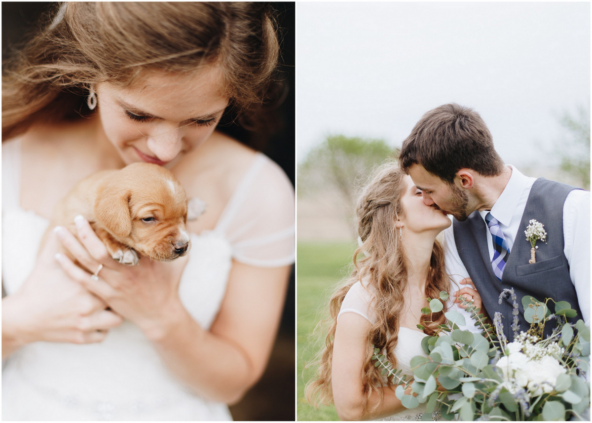 bride with a puppy, bride and groom kissing, spring wedding